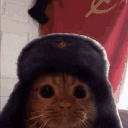 catasucc