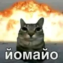 Аватар drt0390