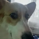 Аватар felix046872