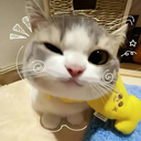 58g6
