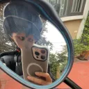 datnguyen06417 avatar