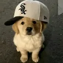 pebblesnewaccount