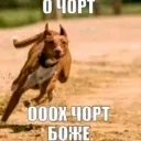 Аватар verixzx