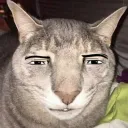 m1dn1ght.sun0393 avatar