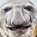 c8ilok#8164's avatar