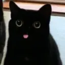 jstuoqo
