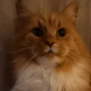 tatte_batte01 avatar