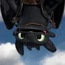 toothless7033