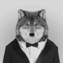 Аватар kaktus08203