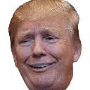 donnytrump420#0