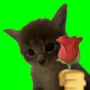 turomortal505 avatar