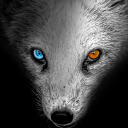 avatar WindFox470