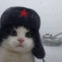 davidovici14 member profile picture