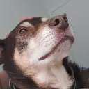 random_kid04194 avatar