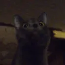 interstellarnuggo