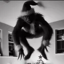 cellkae._54197 avatar