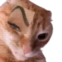 aisunam05_93588 avatar