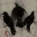 eecalliope7ee_17524