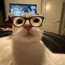 alexxxgamer123 avatar