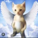 alexis_1038_79560 avatar