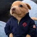 theniawngatico avatar