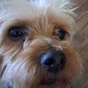 yourlocalmexican0850 avatar