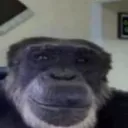 kayroqz