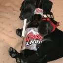 chino_lrz_65471 avatar