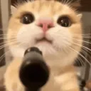 sisterno._9196 avatar