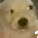 alvarouribe77 avatar