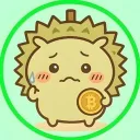 shuceo_real_95531