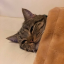 Ganythy member profile picture