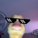 wehedc