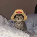 wehedc