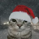 ianadalson358 avatar