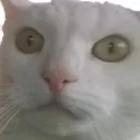 viicii
