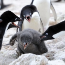 kmy4283#0176's avatar