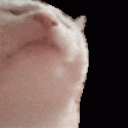 philippbi