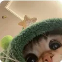 foodieforever avatar