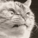 horrificcat