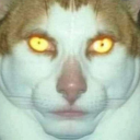 avatar Yeelya_the_Cat