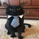 Аватар people0711