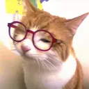mi_715