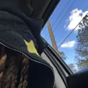 lovecvrve