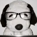 roundlawyer