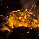 firekorn