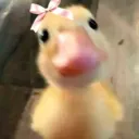 lucylulu_23