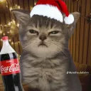 Аватар jelimonin44