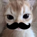 avatar 𝙷𝚢𝚊𝚌𝚒𝚗𝚝𝚑_𝚋𝚛