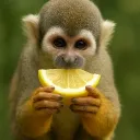 holanda448273 avatar